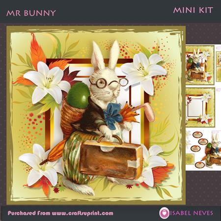Mr Bunny