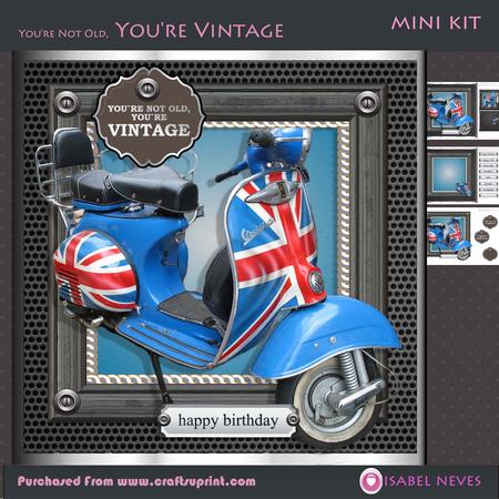 You're Not Old You're Vintage (uk)