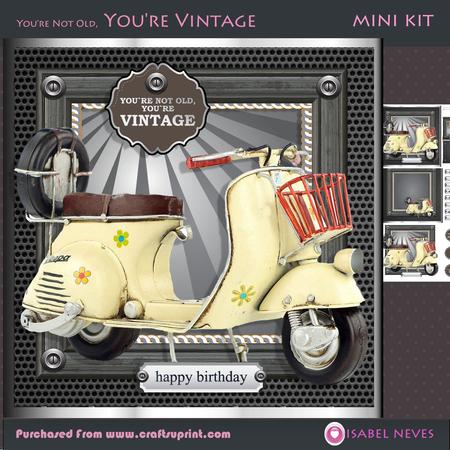 You're Not Old You're Vintage (cream)