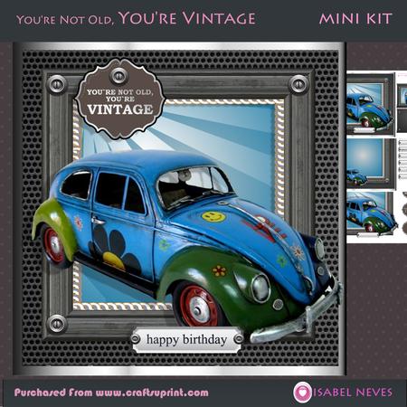 You're Not Old You're Vintage, Flower Power
