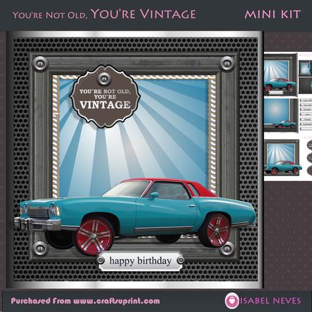 You're Not Old You're Vintage (montecarlo)
