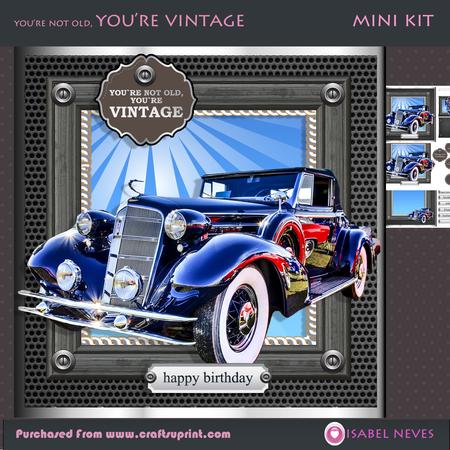You're Not Old, You're Vintage (vintageblue)