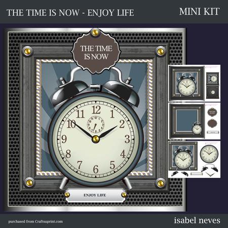 The Time is Now, Enjoy Life