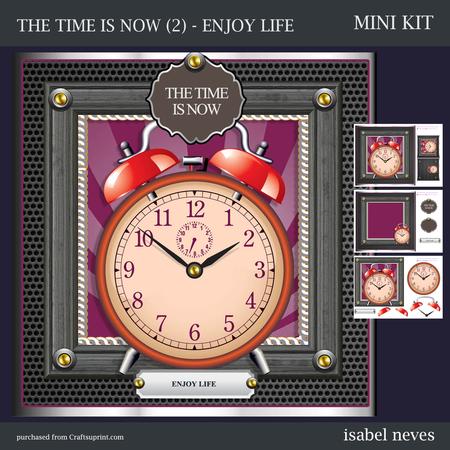 The Time is Now - 2 - Enjoy Life