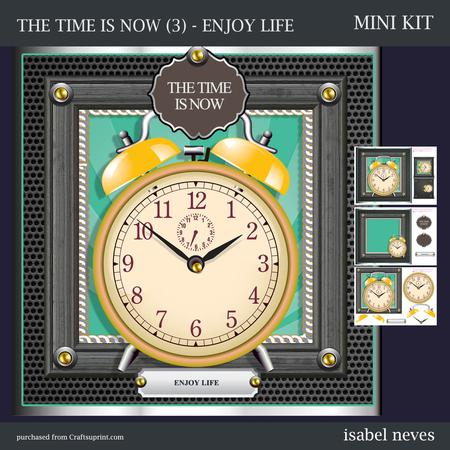 The Tme is Now - 3 - Enjoy Life