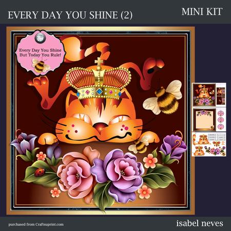Every Day You Shine But Today You Rule (2)