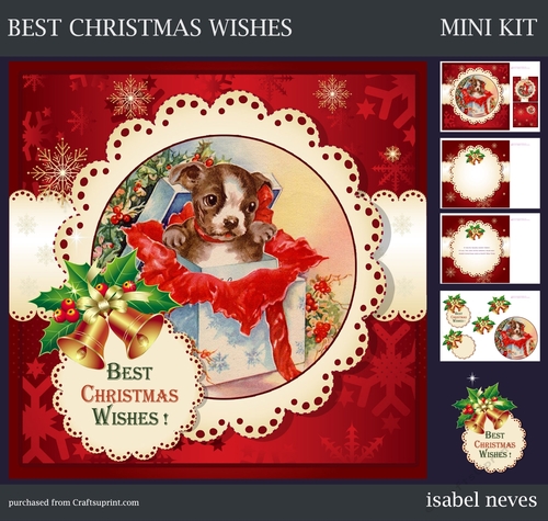 Best Christmas Wishes