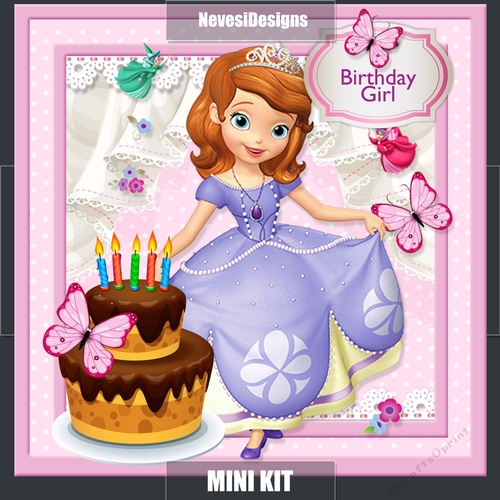 Little Princess Birthday Girl