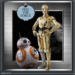 Feel The Force 3
