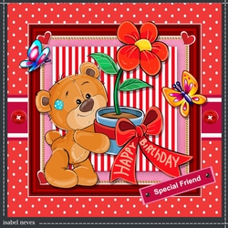 BirthdayBear