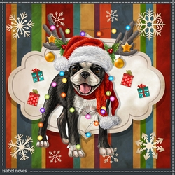 Dog Christmas 