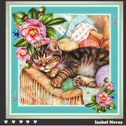 Cat Nap