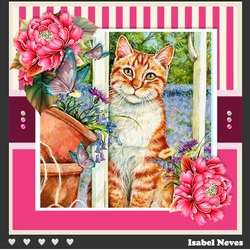 The Kitten And The Butterfly ~ Birthday / Mothers Day / Thank You and more