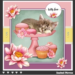 Kitten And Cupcakes