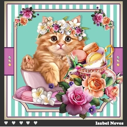 Tea Time 2 Kitten and Sweets