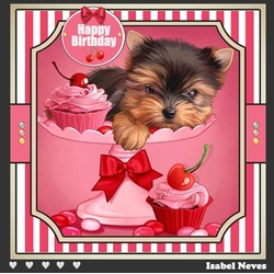 Sweet Birthday