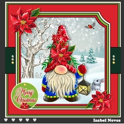 Christmas Gnome