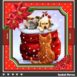 The Magic Of Christmas 2