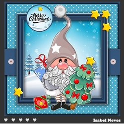 Gnome For Christmas