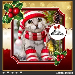 Christmas Cat In Christmas Hat
