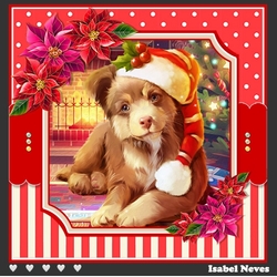 Merry Christmas Dog