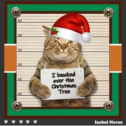 Guilty Christmas Cat