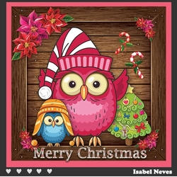Cute Christmas Owls