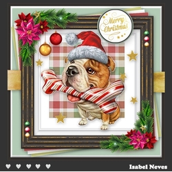 Dog Days Of Christmas 1