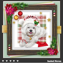 Dog Days Of Christmas 4