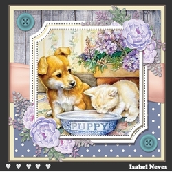 Spring Garden Cats and Dogs 2