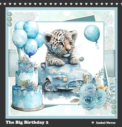The Big Birthday 2