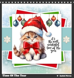 Time Of The Year