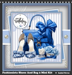 Fashionista Shoes And Bag 2
