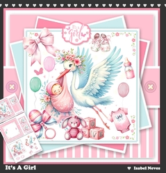 Its A GIrl