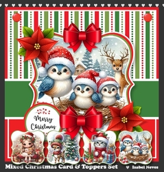 Mixed Christmas Card & Toppers Set 2