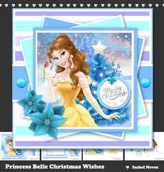 Princess Belle Christmas Wishes
