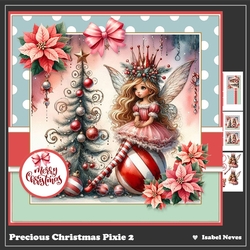 Precious Christmas Pixie 2