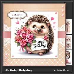 Birthday Hedgehog