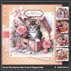 Cat In The Flower Box Card & Toppers Set