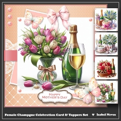Female Champagne Celebration Card & Toppers Set