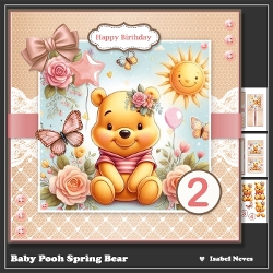 Baby Pooh Spring Bear Ages 1 to 5