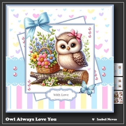 Owl Always Love You