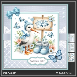 Its A Boy