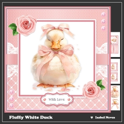 Fluffy White Duck