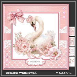 Graceful White Swan
