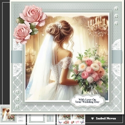 Beautiful Bride