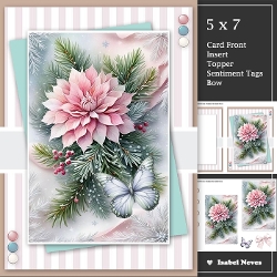 Wonderful Winter Flowers 2