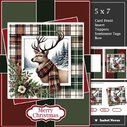 Male Christmas Wishes 2
