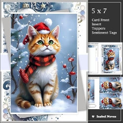 Christmas Santa Cat
