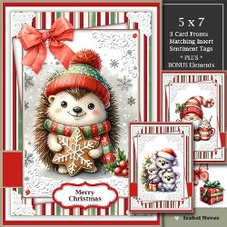 Set of 3 ~ Tis The Season Mini Kit